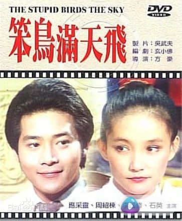 笨鸟满天飞