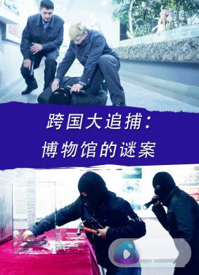 跨国大追捕：博物馆的谜案