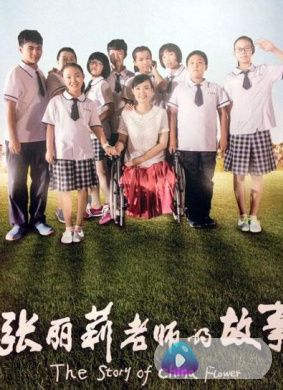 张丽莉老师的故事